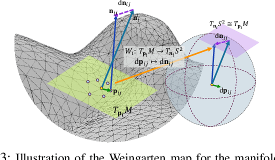 Figure 3 for Differentiable Topology Estimating from Curvatures for 3D Shapes