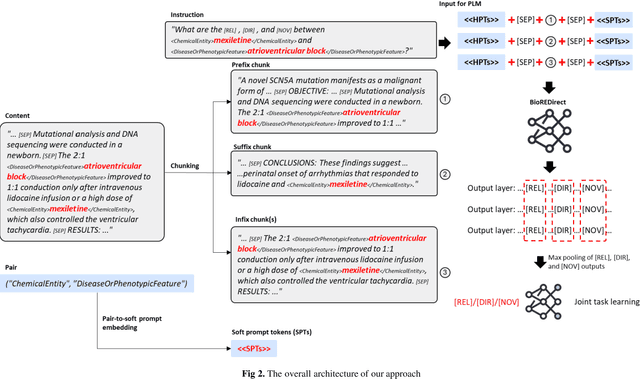 Figure 3 for Enhancing Biomedical Relation Extraction with Directionality