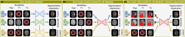 Figure 1 for Modality-Independent Brain Lesion Segmentation with Privacy-aware Continual Learning