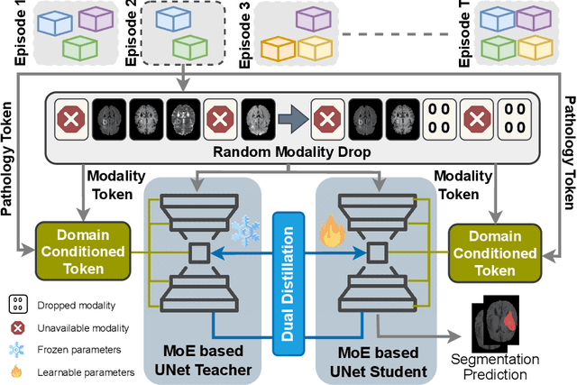 Figure 3 for Modality-Independent Brain Lesion Segmentation with Privacy-aware Continual Learning