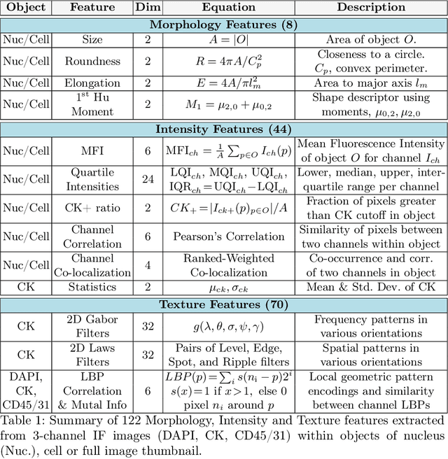 Figure 3 for Fully Automated CTC Detection, Segmentation and Classification for Multi-Channel IF Imaging