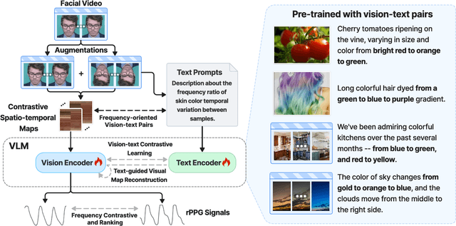 Figure 1 for Bootstrapping Vision-language Models for Self-supervised Remote Physiological Measurement