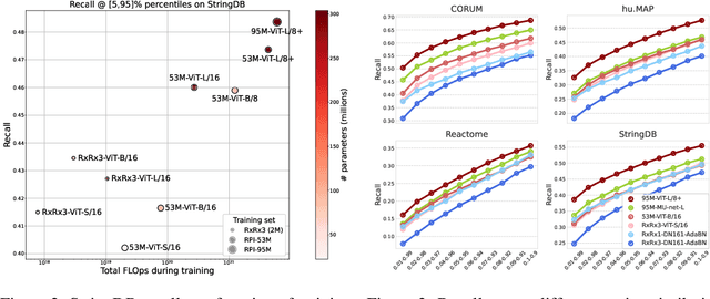 Figure 4 for Masked autoencoders are scalable learners of cellular morphology
