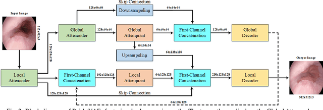 Figure 3 for BrightVAE: Luminosity Enhancement in Underexposed Endoscopic Images