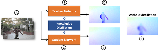 Figure 1 for GlobalFlowNet: Video Stabilization using Deep Distilled Global Motion Estimates