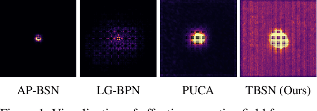 Figure 1 for TBSN: Transformer-Based Blind-Spot Network for Self-Supervised Image Denoising