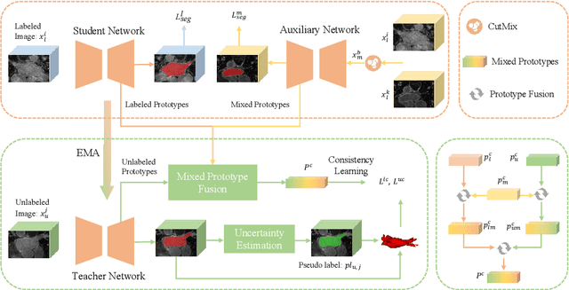 Figure 1 for Mixed Prototype Consistency Learning for Semi-supervised Medical Image Segmentation