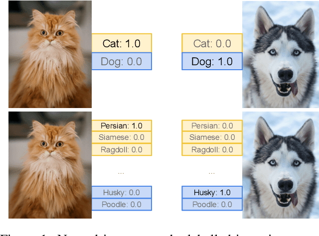 Figure 1 for Towards Understanding the Effect of Pretraining Label Granularity