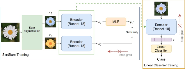 Figure 1 for Saliency Can Be All You Need In Contrastive Self-Supervised Learning
