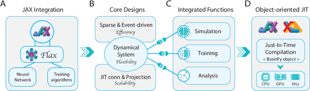 Figure 1 for A differentiable brain simulator bridging brain simulation and brain-inspired computing