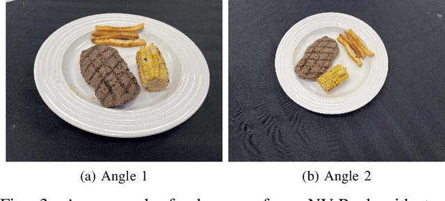 Figure 3 for NutritionVerse: Empirical Study of Various Dietary Intake Estimation Approaches