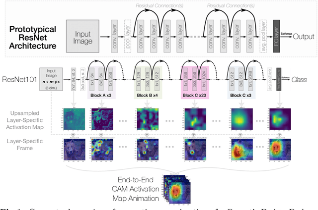 Figure 1 for CAManim: Animating end-to-end network activation maps