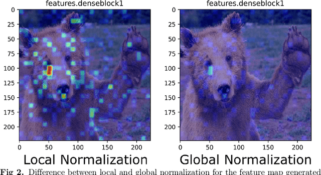 Figure 3 for CAManim: Animating end-to-end network activation maps