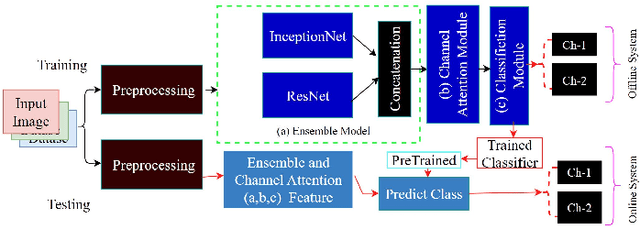 Figure 2 for Multichannel Attention Networks with Ensembled Transfer Learning to Recognize Bangla Handwritten Charecter