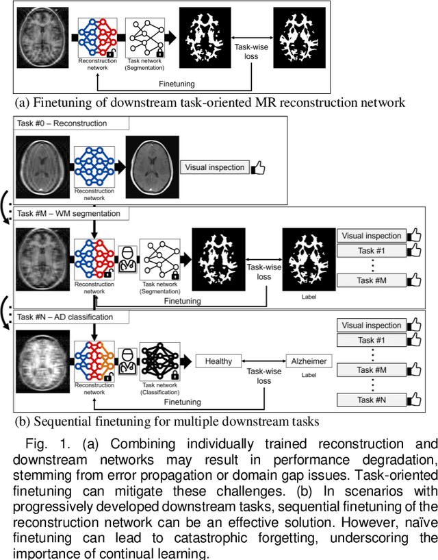 Figure 1 for MOST: MR reconstruction Optimization for multiple downStream Tasks via continual learning
