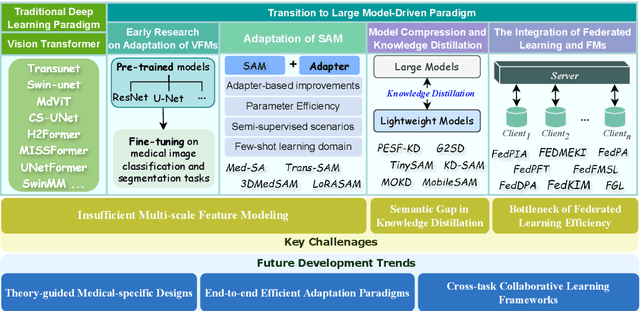 Figure 1 for Vision Foundation Models in Medical Image Analysis: Advances and Challenges