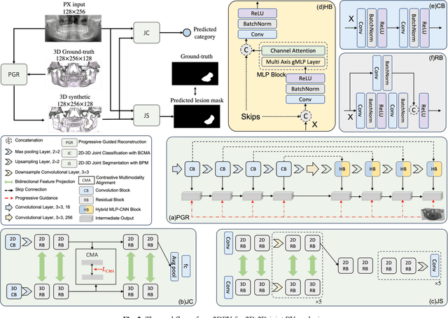 Figure 2 for 3DPX: Single Panoramic X-ray Analysis Guided by 3D Oral Structure Reconstruction