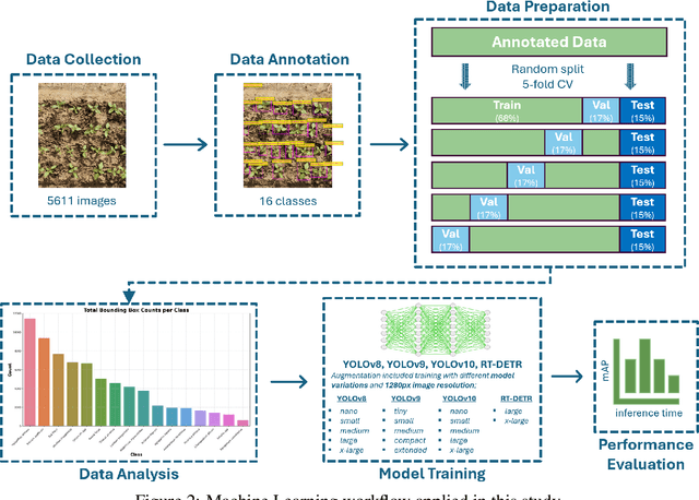 Figure 3 for Assessing the Capability of YOLO- and Transformer-based Object Detectors for Real-time Weed Detection