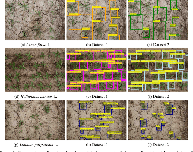 Figure 2 for Assessing the Capability of YOLO- and Transformer-based Object Detectors for Real-time Weed Detection