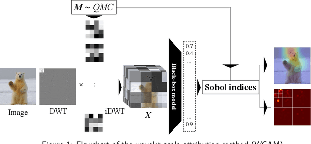 Figure 1 for Scale Matters: Attribution Meets the Wavelet Domain to Explain Model Sensitivity to Image Corruptions