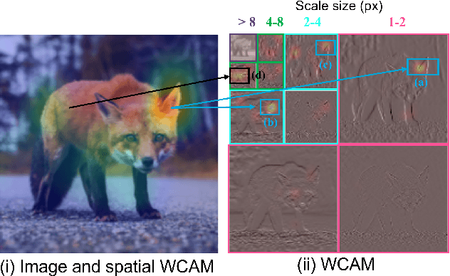 Figure 2 for Scale Matters: Attribution Meets the Wavelet Domain to Explain Model Sensitivity to Image Corruptions