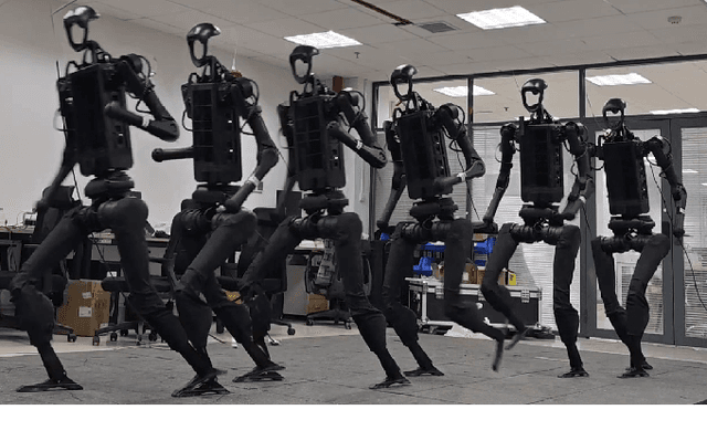 Figure 1 for StyleLoco: Generative Adversarial Distillation for Natural Humanoid Robot Locomotion
