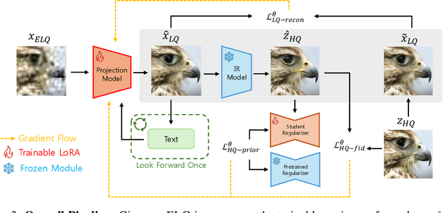 Figure 2 for Extreme Blind Image Restoration via Prompt-Conditioned Information Bottleneck