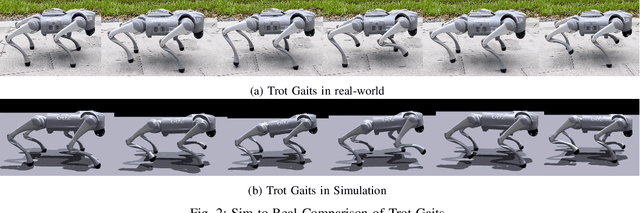 Figure 2 for MASQ: Multi-Agent Reinforcement Learning for Single Quadruped Robot Locomotion