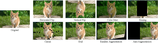 Figure 1 for You Only Need Half: Boosting Data Augmentation by Using Partial Content