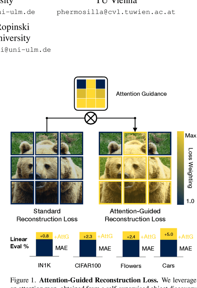 Figure 1 for Attention-Guided Masked Autoencoders For Learning Image Representations