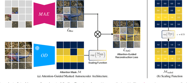 Figure 3 for Attention-Guided Masked Autoencoders For Learning Image Representations