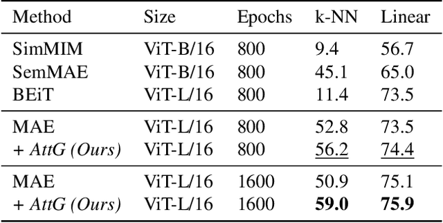 Figure 2 for Attention-Guided Masked Autoencoders For Learning Image Representations