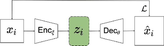 Figure 1 for Using VAEs to Learn Latent Variables: Observations on Applications in cryo-EM