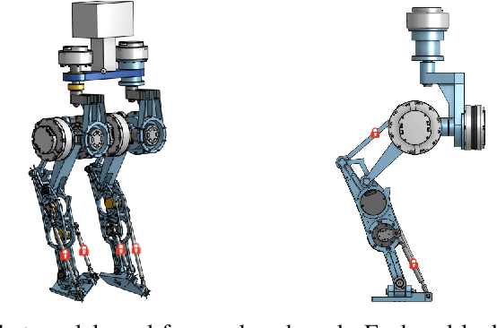 Figure 2 for Optimal Control of Walkers with Parallel Actuation