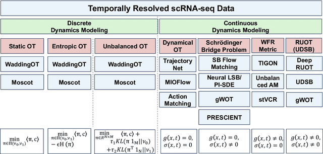 Figure 3 for Integrating Dynamical Systems Modeling with Spatiotemporal scRNA-seq Data Analysis