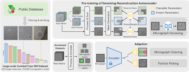 Figure 1 for DRACO: A Denoising-Reconstruction Autoencoder for Cryo-EM