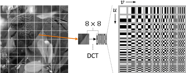 Figure 3 for RGB no more: Minimally-decoded JPEG Vision Transformers