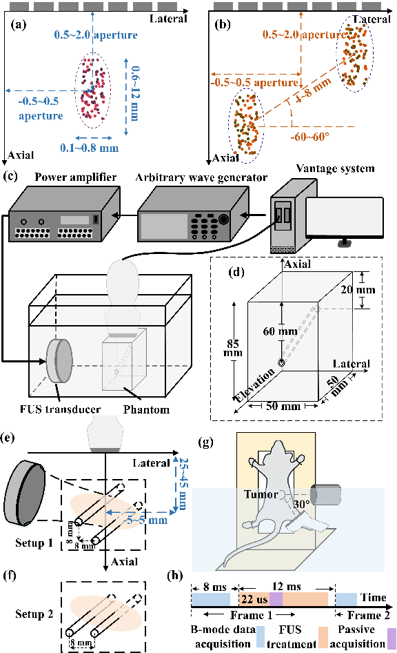 Figure 2 for Switchable deep beamformer for high-quality and real-time passive acoustic mapping