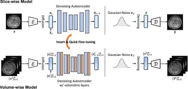 Figure 1 for Make-A-Volume: Leveraging Latent Diffusion Models for Cross-Modality 3D Brain MRI Synthesis