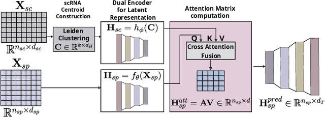 Figure 1 for CASPER: Cross-modal Alignment of Spatial and single-cell Profiles for Expression Recovery