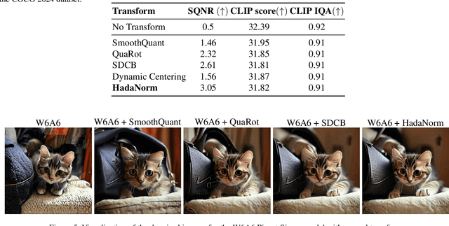Figure 4 for HadaNorm: Diffusion Transformer Quantization through Mean-Centered Transformations