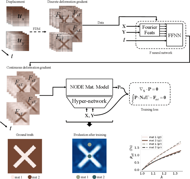 Figure 1 for Fully data-driven inverse hyperelasticity with hyper-network neural ODE fields