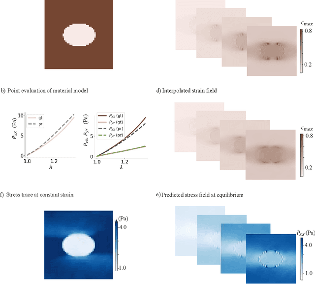 Figure 3 for Fully data-driven inverse hyperelasticity with hyper-network neural ODE fields