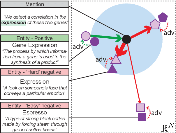 Figure 1 for Proxy-based Zero-Shot Entity Linking by Effective Candidate Retrieval