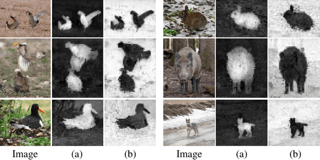 Figure 4 for A General Visual Representation Guided Framework with Global Affinity for Weakly Supervised Salient Object Detection