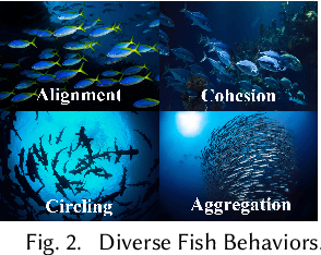 Figure 3 for CBIL: Collective Behavior Imitation Learning for Fish from Real Videos