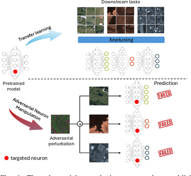 Figure 1 for On the Adversarial Vulnerabilities of Transfer Learning in Remote Sensing