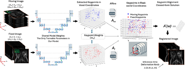 Figure 1 for RealKeyMorph: Keypoints in Real-world Coordinates for Resolution-agnostic Image Registration
