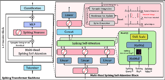 Figure 3 for Bishop: Sparsified Bundling Spiking Transformers on Heterogeneous Cores with Error-Constrained Pruning