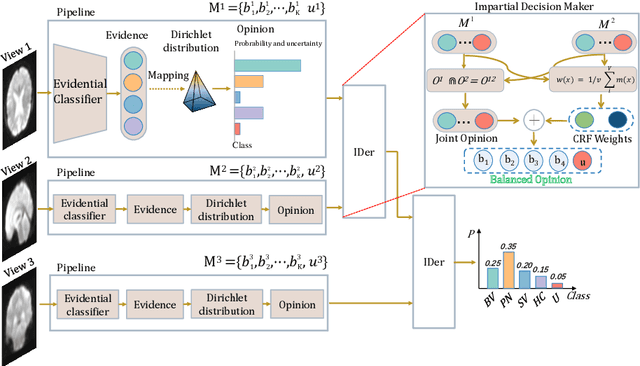 Figure 1 for A Multi-view Impartial Decision Network for Frontotemporal Dementia Diagnosis
